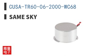 CUSA-TR60-06-2000-WC68 ͼƬ